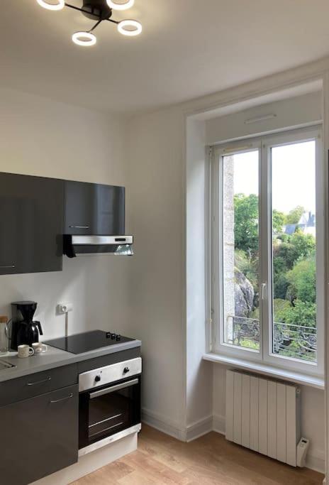 Vue Imprenable Sur Le Moulin Du Chaos ! Apartment Huelgoat Ngoại thất bức ảnh